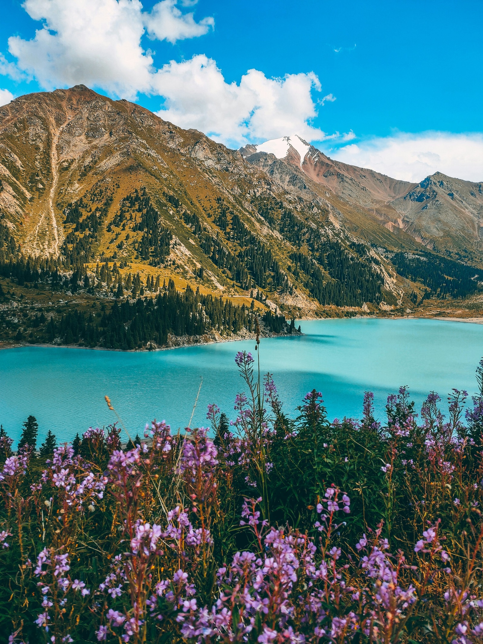 Almaty city panoramic view with mountains